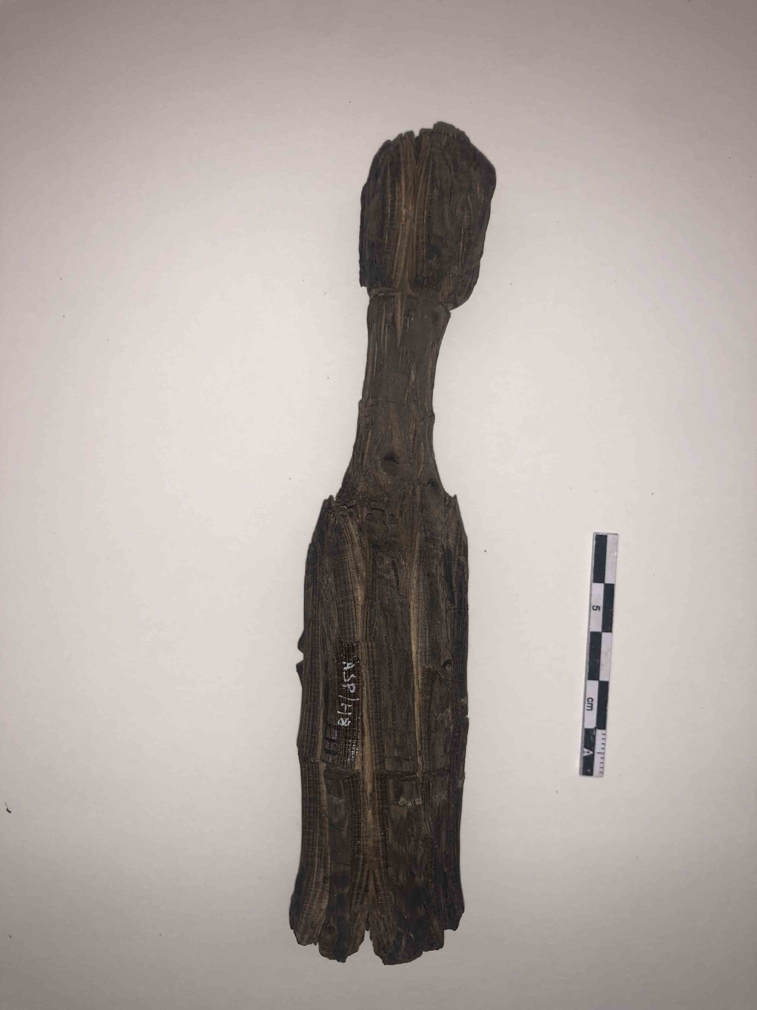 File ANTSTAD V3 A091-V8 (18).jpg